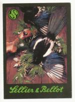 1989, Sollier Bellot Vlašim