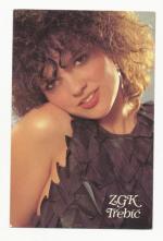 1989, ZGK Třebíč