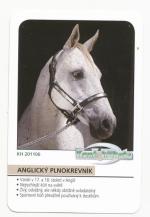 2011, Anglický plnokrevník