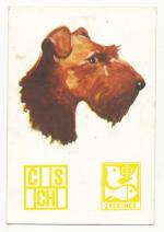 1981, ČSCH - zverimex pes