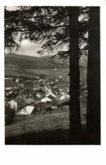 Železná Ruda