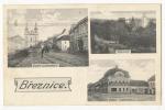 Březnice