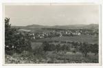 Bludov