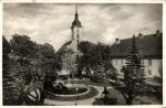 Javorník